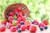 Jual Poster Raspberry Blueberries 1Z 003