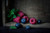 Jual Poster Raspberry Blueberries 1Z 005