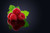 Jual Poster Raspberry Reflection 1Z