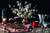 Jual Poster Still life Flowering trees Candles Kettle Pastry 1Z