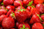 Jual Poster Strawberry Berry Closeup 1Z 001