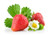 Jual Poster Strawberry Closeup White background Two Foliage 1Z 002