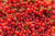 Jual Poster Texture Currant Red 1Z