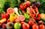 Jual Poster Vegetables Fruit Pepper Tomatoes Apples 1Z