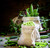 Jual Poster Vegetables Green peas Grain 1Z
