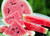 Jual Poster Watermelons Closeup 1Z 012 Jual Poster Watermelons Closeup 1Z 012