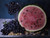 Jual Poster Watermelons Grapes Nuts 1Z