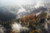 Jual Poster Aerial Fall Fog Forest Nature Sunbeam Earth Fog APC