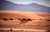 Jual Poster Africa Algeria Desert Dune Sahara Sand Earth Desert APC