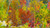 Jual Poster Artistic Aspen Fall Tree Earth Fall APC