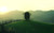 Jual Poster Artistic Earth Grass Hill Tree Earth Artistic 83691 APC Jual Poster Artistic Earth Grass Hill Tree Earth Artistic 83691 APC