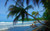 Jual Poster Beach Earth Ocean Palm Tree Tropical Earth Palm Tree APC
