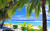Jual Poster Beach Palm Tree Tropical Earth Beach APC
