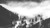 Jual Poster Black & White Fog Nature Tree Earth Fog APC