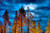 Jual Poster Blue Earth Fall Foliage Sky Tree Trees Tree APC
