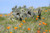 Jual Poster Cactus Nature Plant Poppy Earth Cactus APC
