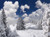 Jual Poster Cloud Earth Forest Snow Tree Winter Earth Winter APC 001