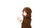 Poster Holo (Spice & Wolf) Anime Spice and Wolf APC002