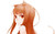 Poster Holo (Spice & Wolf) Anime Spice and Wolf APC005