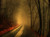 Jual Poster Dark Forest Path orange (Color) Earth Fog APC