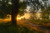Jual Poster Dirt Road Earth Field Path Sunrise Tree Earth Path APC