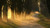 Jual Poster Dirt Road Fog Nature Tree Earth Fog APC Jual Poster Dirt Road Fog Nature Tree Earth Fog APC