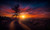 Jual Poster Dirt Road Nature Sky Sunset Tree Earth Sunset APC