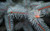 Jual Poster Earth Close Up APC 004