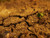 Jual Poster Earth Close Up APC 028