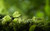 Jual Poster Earth Close Up APC 083