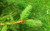 Jual Poster Earth Close Up APC 147
