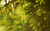 Jual Poster Earth Close Up APC 158