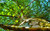 Jual Poster Earth Close Up APC 168