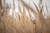 Jual Poster Earth Close Up APC 189