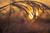 Jual Poster Earth Close Up APC 199