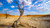 Jual Poster Earth Desert6 APC 002