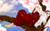 Poster InuYasha (Character) Anime InuYasha APC011
