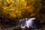 Jual Poster Earth Fall Foliage Forest Waterfall Waterfalls Waterfall APC 003