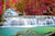 Jual Poster Earth Fall Foliage Waterfall Waterfalls Waterfall APC