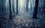Jual Poster Earth Forest APC 140