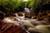 Jual Poster Earth Forest Green Rock Tree Waterfall Waterfalls Waterfall APC 001