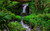 Jual Poster Earth Forest Green Tree Waterfall Waterfalls Waterfall APC 002