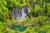 Jual Poster Earth Forest Green Tree Waterfall Waterfalls Waterfall APC 003