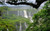 Jual Poster Earth Forest Green Tree Waterfall Waterfalls Waterfall APC 005