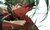 Poster Izuku Midoriya Anime My Hero Academia APC017
