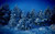 Jual Poster Earth Forest Pine Tree Snow Tree Winter Earth Winter APC 001