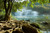 Jual Poster Earth Forest River Tree Waterfall Waterfalls Waterfall APC