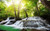 Jual Poster Earth Forest W terfall Waterfalls Waterfall1 APC