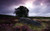 Jual Poster Earth Landscape APC 148