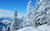Jual Poster Earth Landscape Snow Tree Winter Earth Winter APC